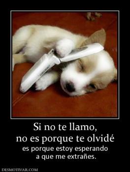 Si no te llamo, no es porque te olvidé es porque estoy esperando  a que me extrañes.