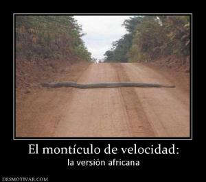 El montículo de velocidad: la versión africana