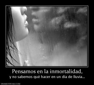Pensamos en la inmortalidad, y no sabemos qué hacer en un día de lluvia…