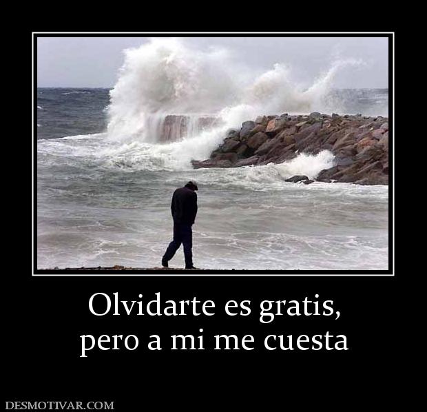 Olvidarte es gratis, pero a mi me cuesta