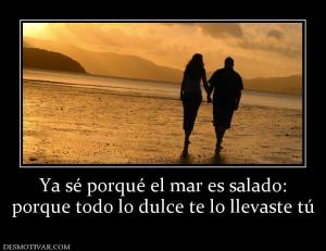 Ya sé porqué el mar es salado: porque todo lo dulce te lo llevaste tú