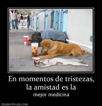 En momentos de tristezas, la amistad es la  mejor medicina