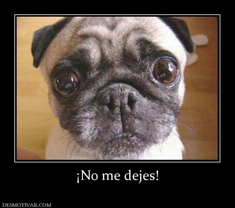 ¡No me dejes!