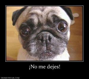 ¡No me dejes!