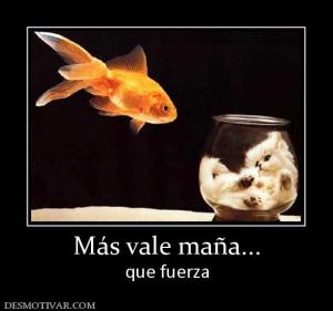 Más vale maña... que fuerza