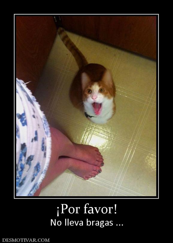 ¡Por favor! No lleva bragas ...