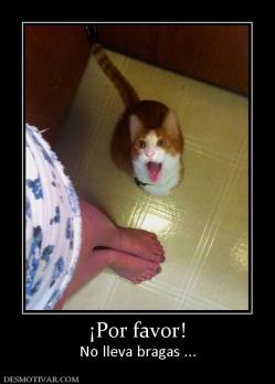 ¡Por favor! No lleva bragas ...