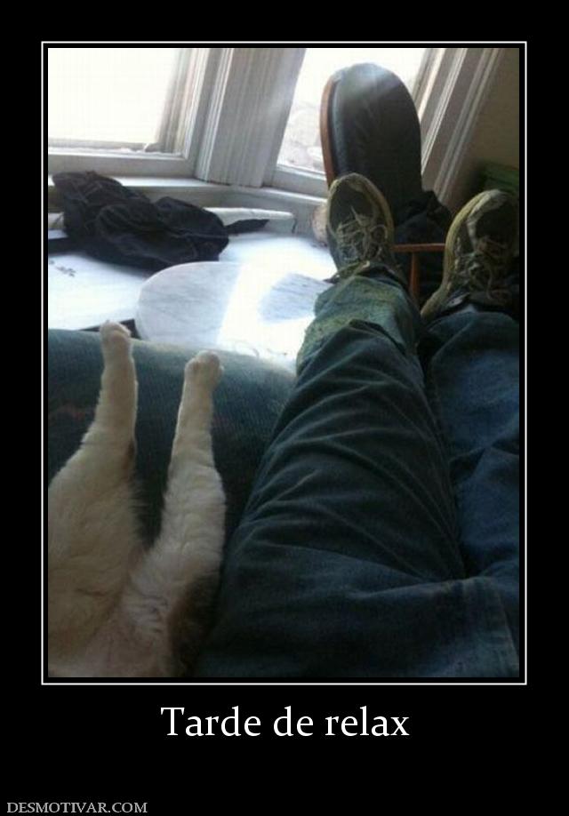 Tarde de relax