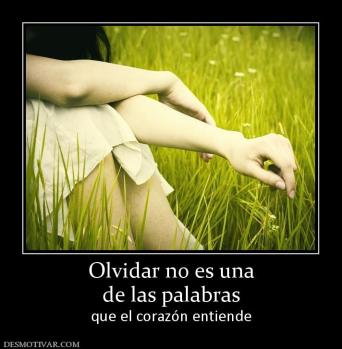 Olvidar no es una de las palabras que el corazón entiende