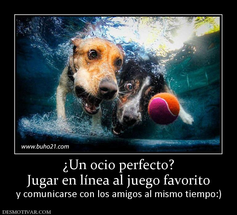 ¿Un ocio perfecto? Jugar en línea al juego favorito y comunicarse con los amigos al mismo tiempo:)