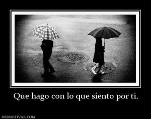 Que hago con lo que siento por ti.