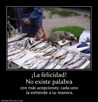 ¡La felicidad! No existe palabra  con más acepciones; cada uno  la entiende a su manera.