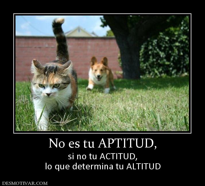 No es tu APTITUD, si no tu ACTITUD, lo que determina tu ALTITUD