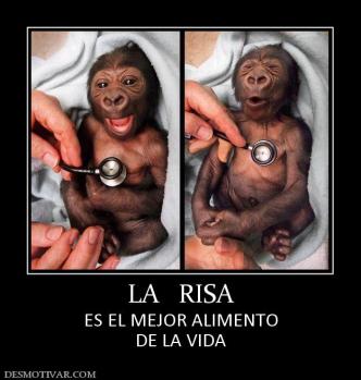 LA   RISA ES EL MEJOR ALIMENTO DE LA VIDA