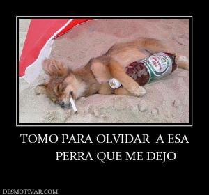 TOMO PARA OLVIDAR  A ESA        PERRA QUE ME DEJO