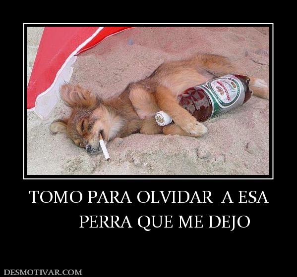 TOMO PARA OLVIDAR  A ESA        PERRA QUE ME DEJO