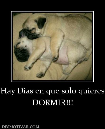Hay Dias en que solo quieres DORMIR!!!
