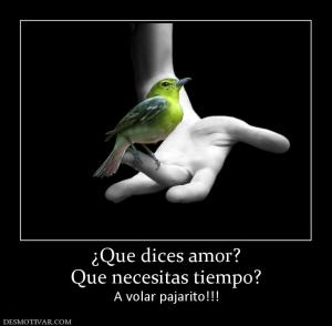 ¿Que dices amor? Que necesitas tiempo? A volar pajarito!!!