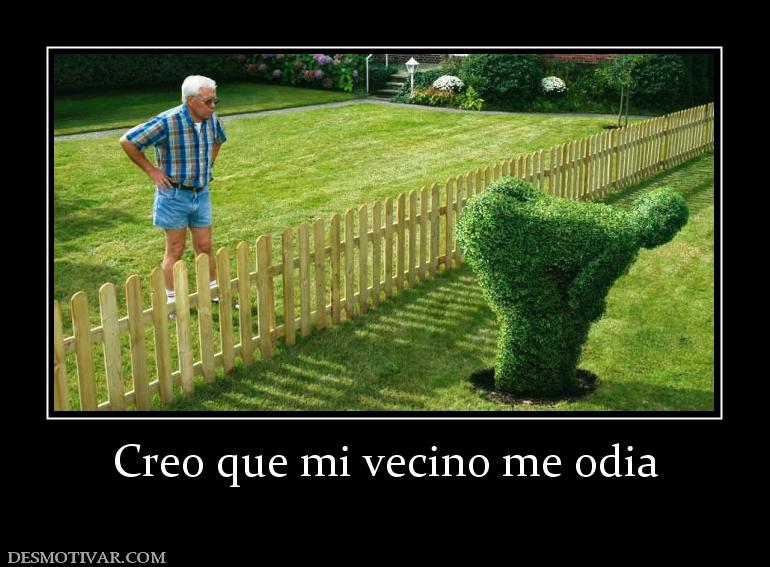 Creo que mi vecino me odia