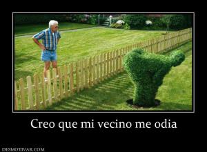 Creo que mi vecino me odia
