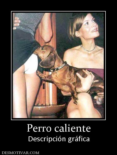 Perro caliente Descripción gráfica