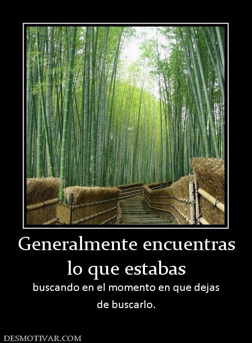 Generalmente encuentras lo que estabas  buscando en el momento en que dejas de buscarlo.