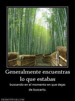 Generalmente encuentras lo que estabas  buscando en el momento en que dejas de buscarlo.