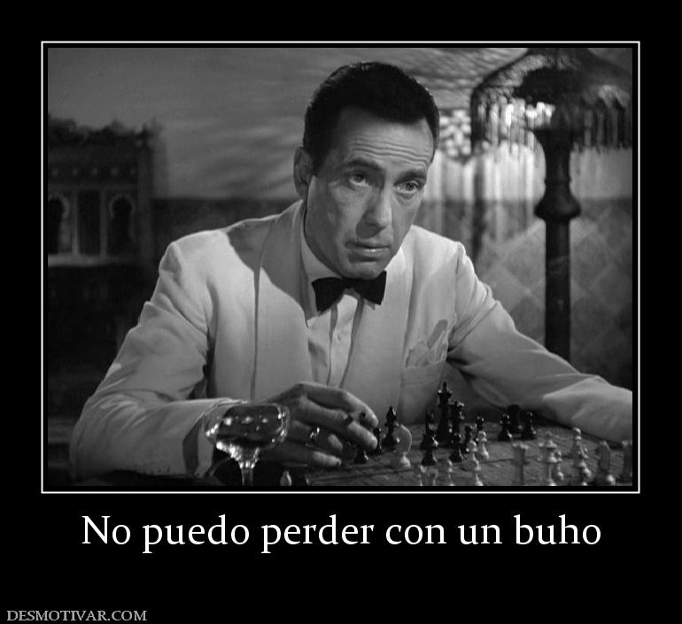 No puedo perder con un buho