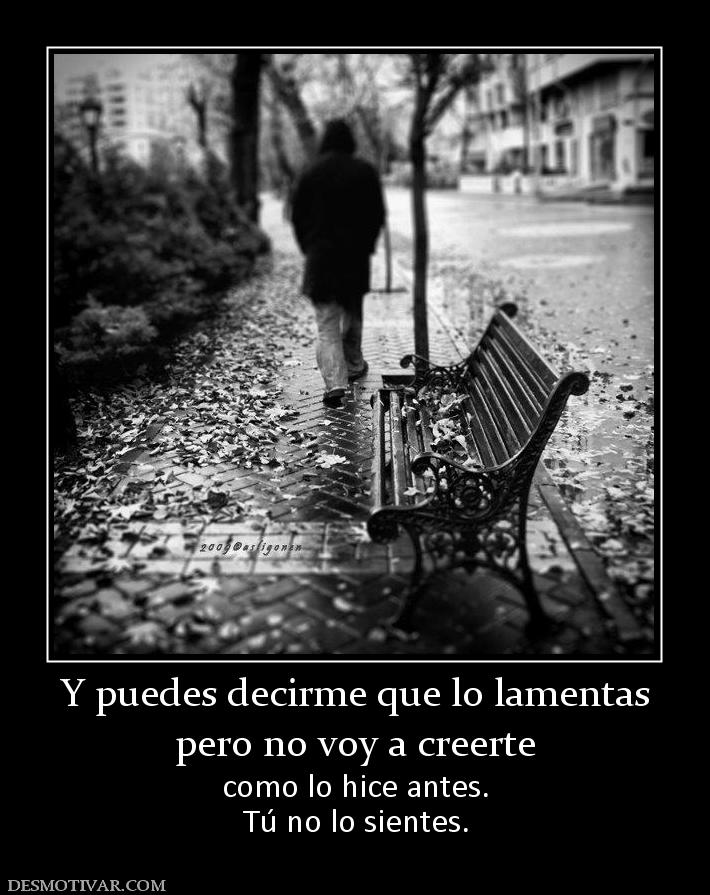 Y puedes decirme que lo lamentas pero no voy a creerte como lo hice antes. Tú no lo sientes.