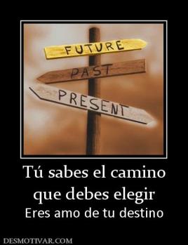 Tú sabes el camino que debes elegir Eres amo de tu destino