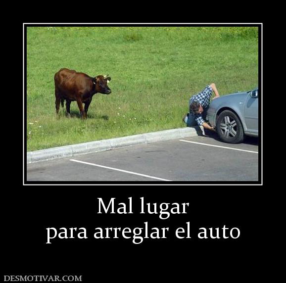 Mal lugar para arreglar el auto