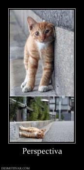 Perspectiva