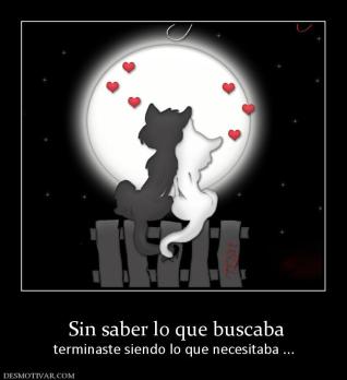 Sin saber lo que buscaba terminaste siendo lo que necesitaba ...