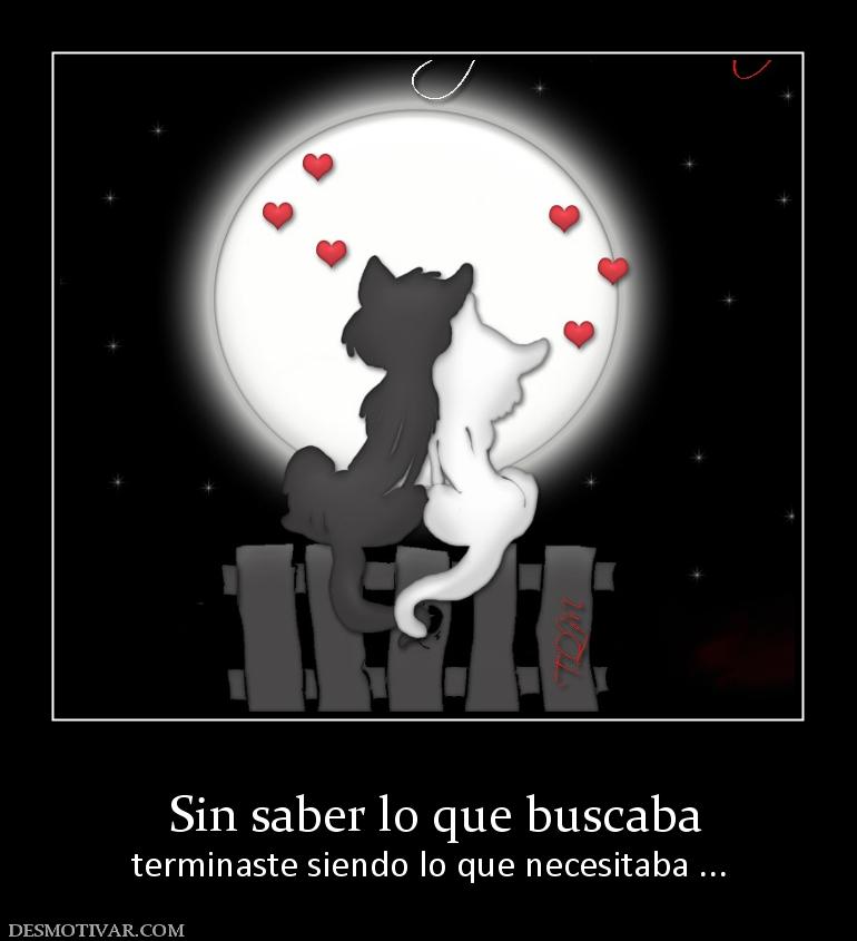 Sin saber lo que buscaba terminaste siendo lo que necesitaba ...