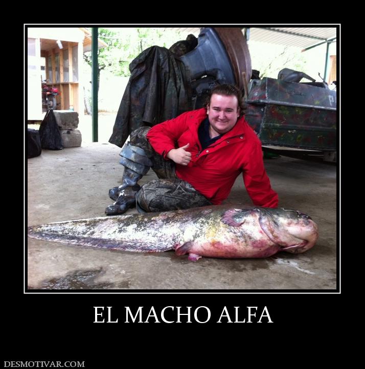 EL MACHO ALFA