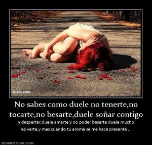 No sabes como duele no tenerte,no tocarte,no besarte,duele soñar contigo y despertar,duele amarte y no poder besarte duele mucho no verte,y mas cuando tu aroma se me hace presente ...