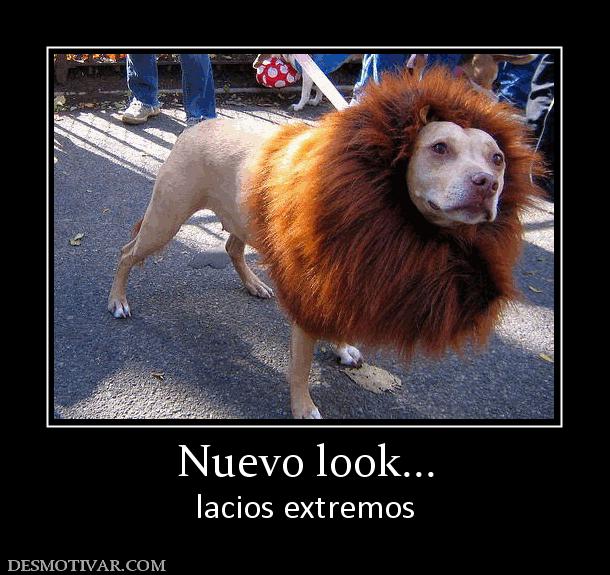 Nuevo look... lacios extremos