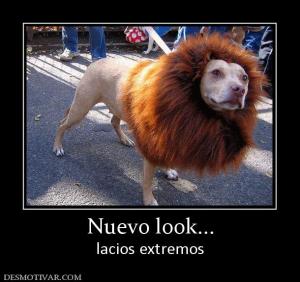 Nuevo look... lacios extremos