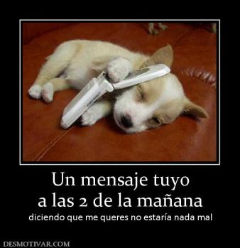 Un mensaje tuyo a las 2 de la mañana diciendo que me queres no estaría nada mal