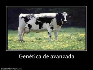 Genética de avanzada