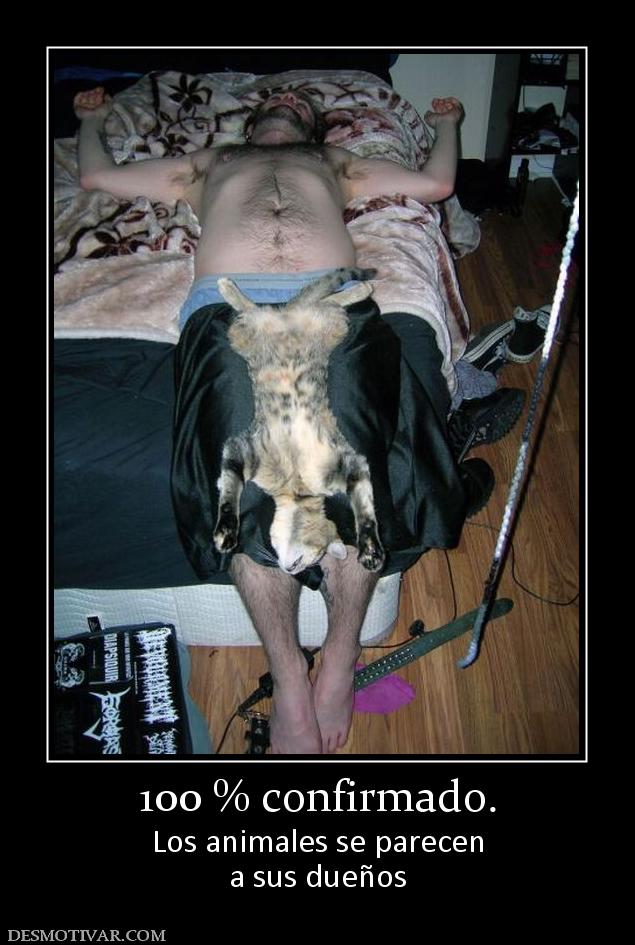 100 % confirmado. Los animales se parecen a sus dueños