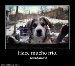Hace mucho frío. ¡Ayúdanos!