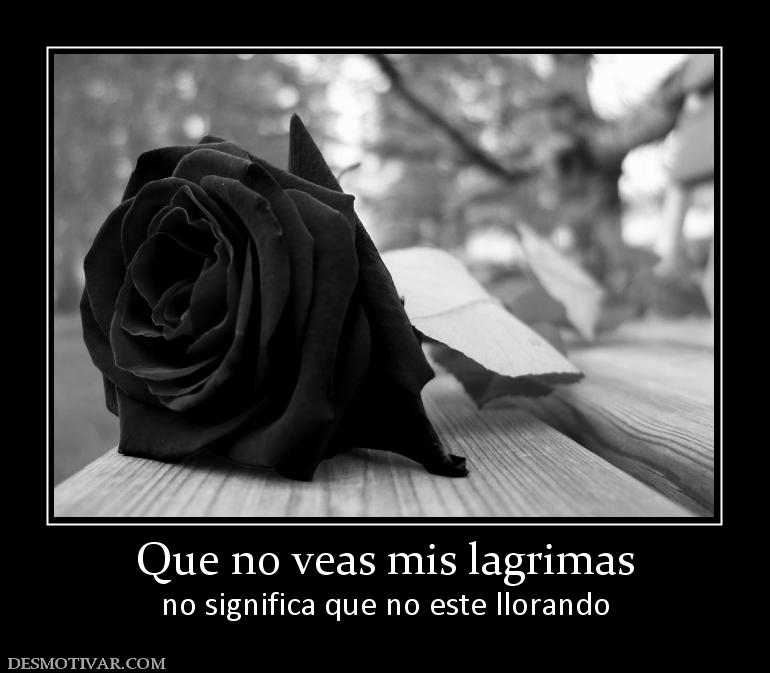 Que no veas mis lagrimas no significa que no este llorando