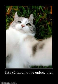 Esta cámara no me enfoca bien