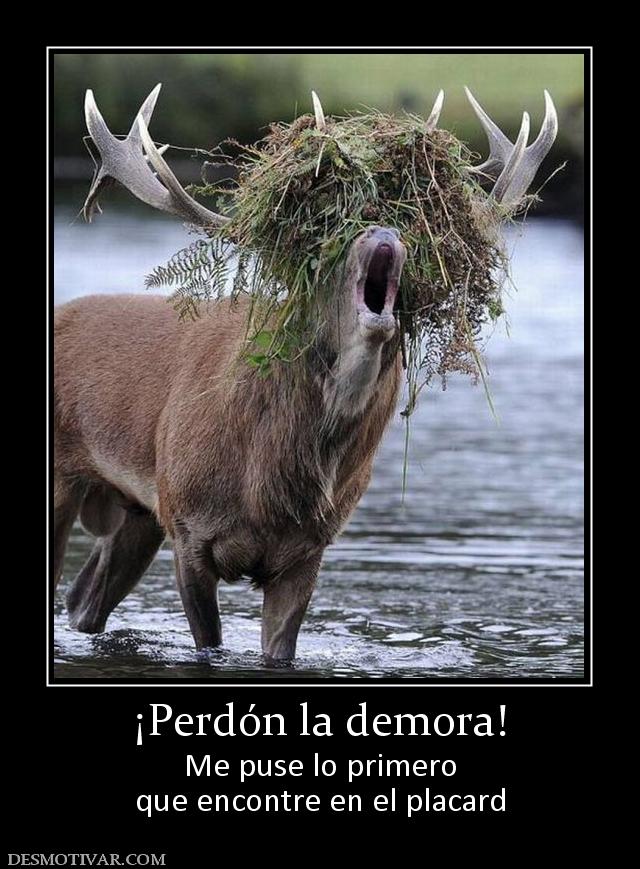 ¡Perdón la demora! Me puse lo primero que encontre en el placard