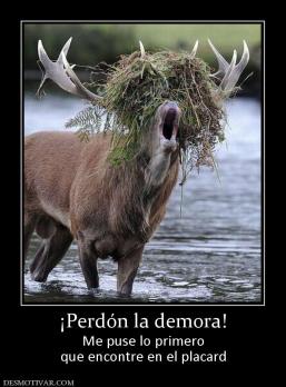 ¡Perdón la demora! Me puse lo primero que encontre en el placard