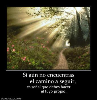 Si aún no encuentras       el camino a seguir, es señal que debes hacer           el tuyo propio.