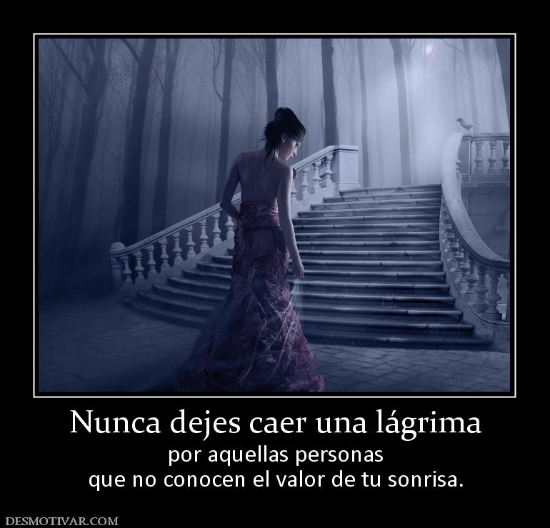 Nunca dejes caer una lágrima por aquellas personas que no conocen el valor de tu sonrisa.