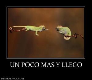 UN POCO MAS Y LLEGO
