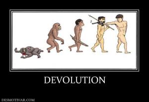 DEVOLUTION